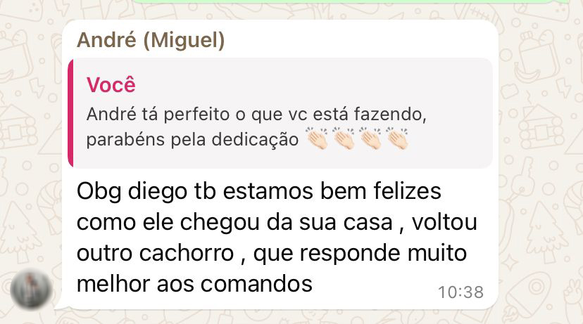 Imagem do WhatsApp de 2025-04-07 à(s) 12.19.37_3cbefed4
