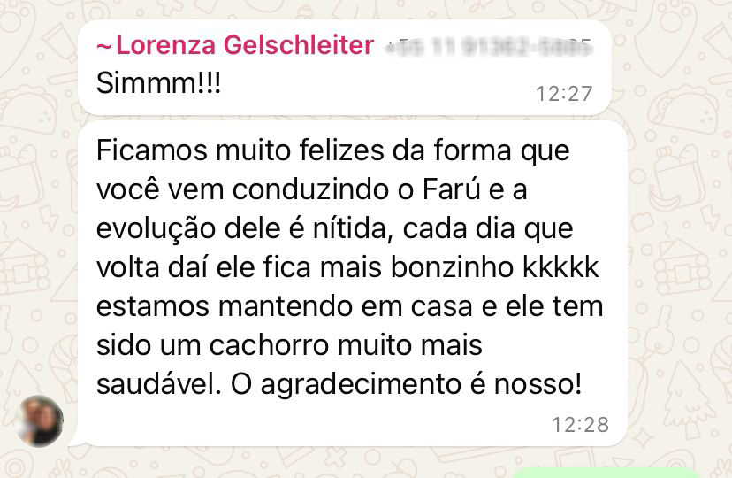 Imagem do WhatsApp de 2025-04-07 à(s) 12.19.38_a66f48a1
